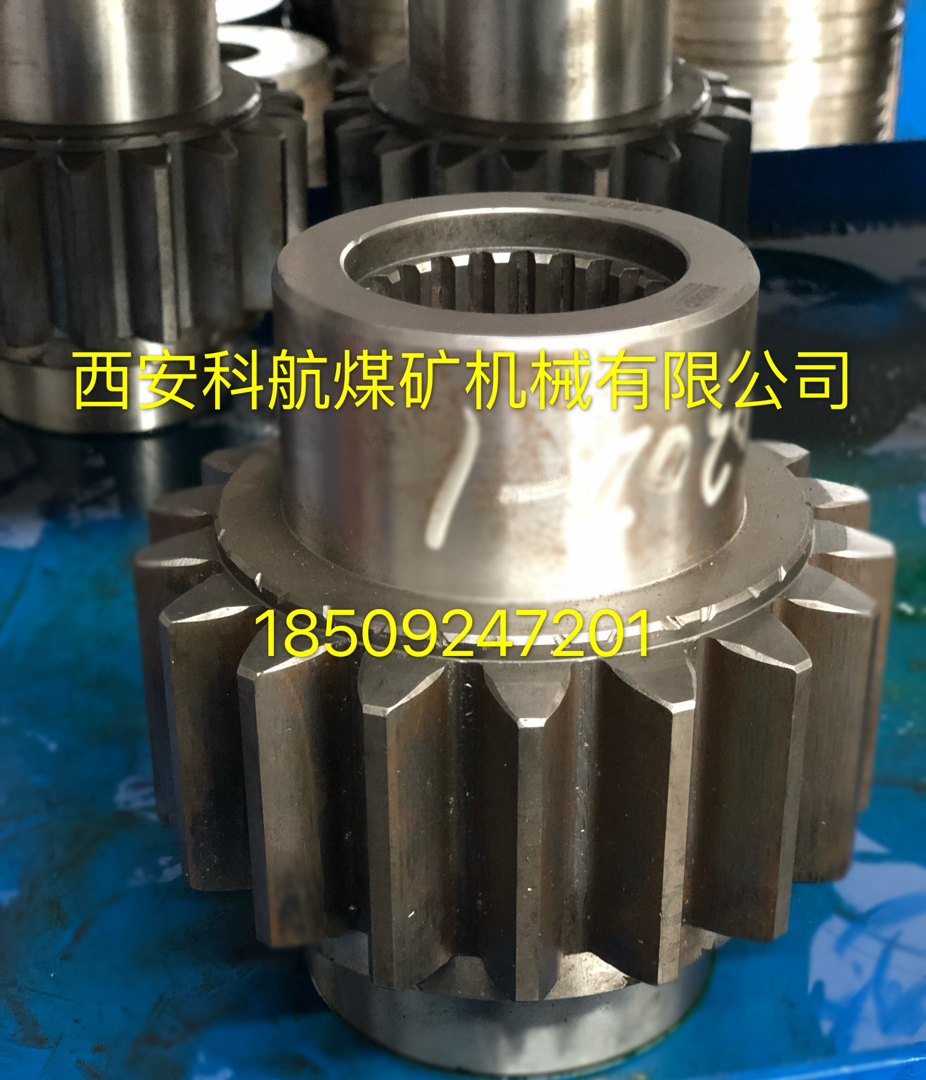 �c���鿴Ԕ��